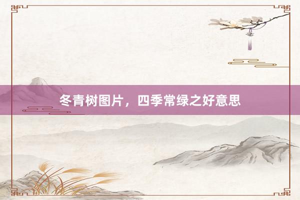 冬青树图片，四季常绿之好意思